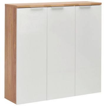 DULAP PENTRU PANTOFI 120/115/34 cm