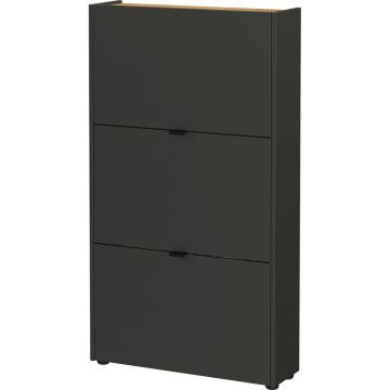 Pantofar gri antracit cu deschidere înclinată 71x127x22 cm Ameca – Germania